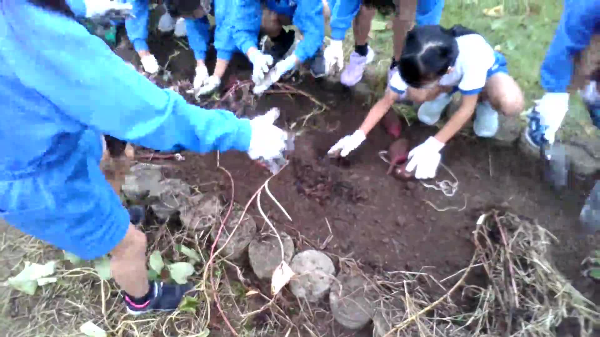 cbccd2b9b8ec8271fdaddf65b3a34372