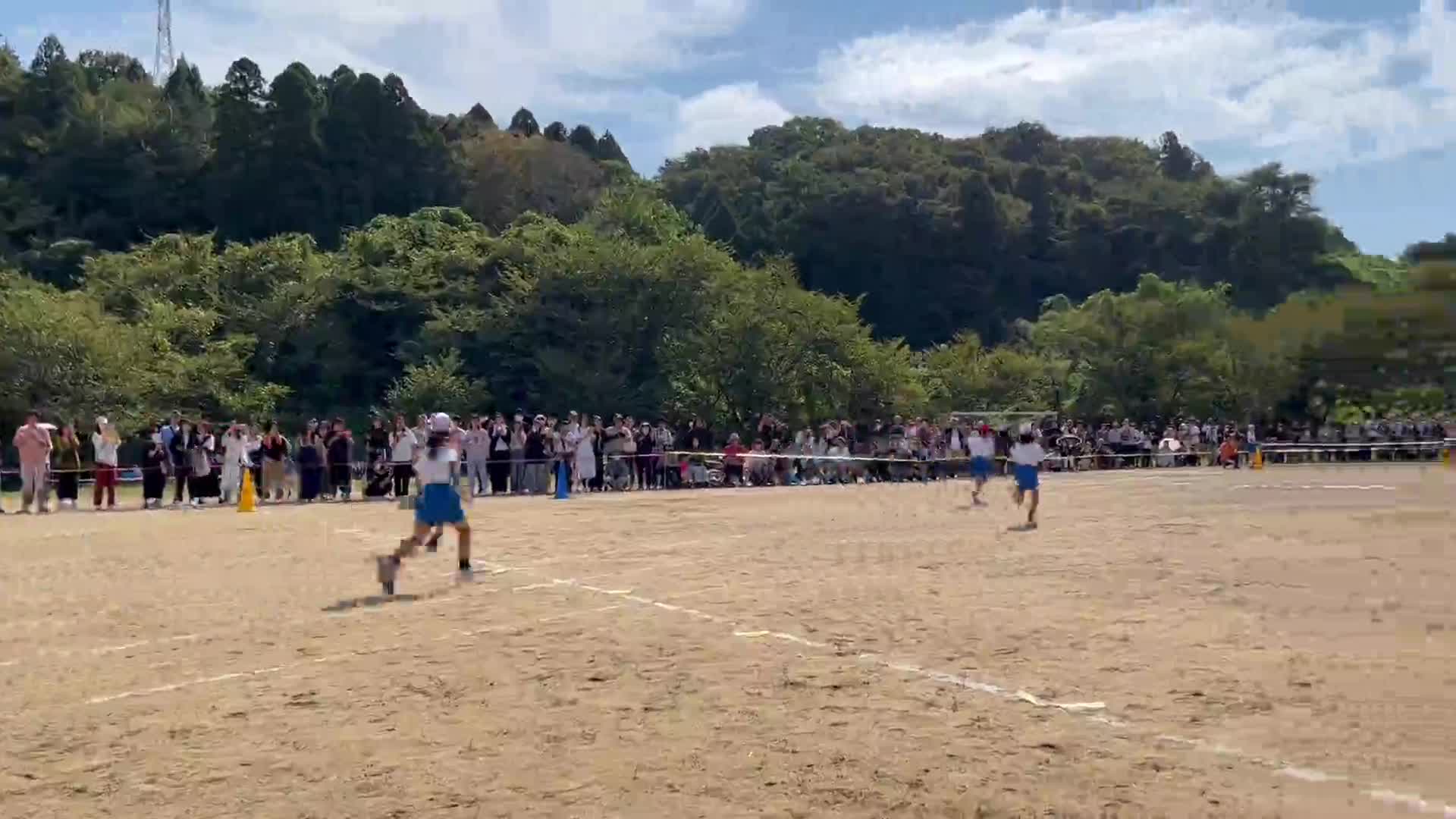 2e8335a3ccb6d413a066ecd4464dfa4d