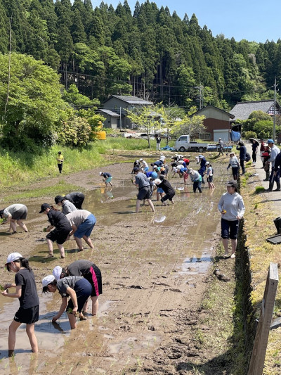 taue02