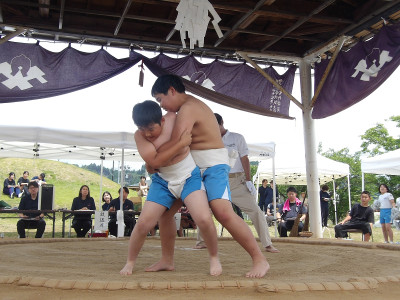 sumou01