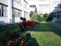 粟生小学校校庭