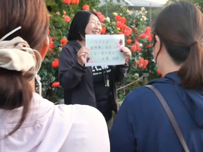 バラクイズ