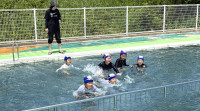 IMG_7913.jpg-1-2