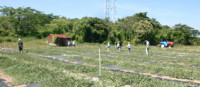 CIMG0979.JPG-03