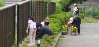 DSC07067.JPG-03