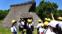 DSC07126.JPG-02