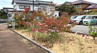 IMG_9523.jpg 秋の様子01