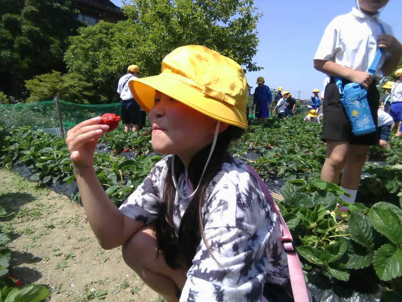 IMG_20260518_132147