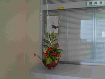 DSCF0080