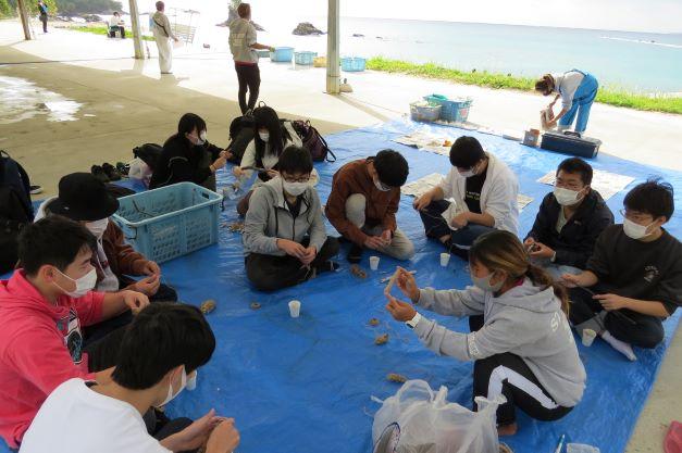 インストラクター