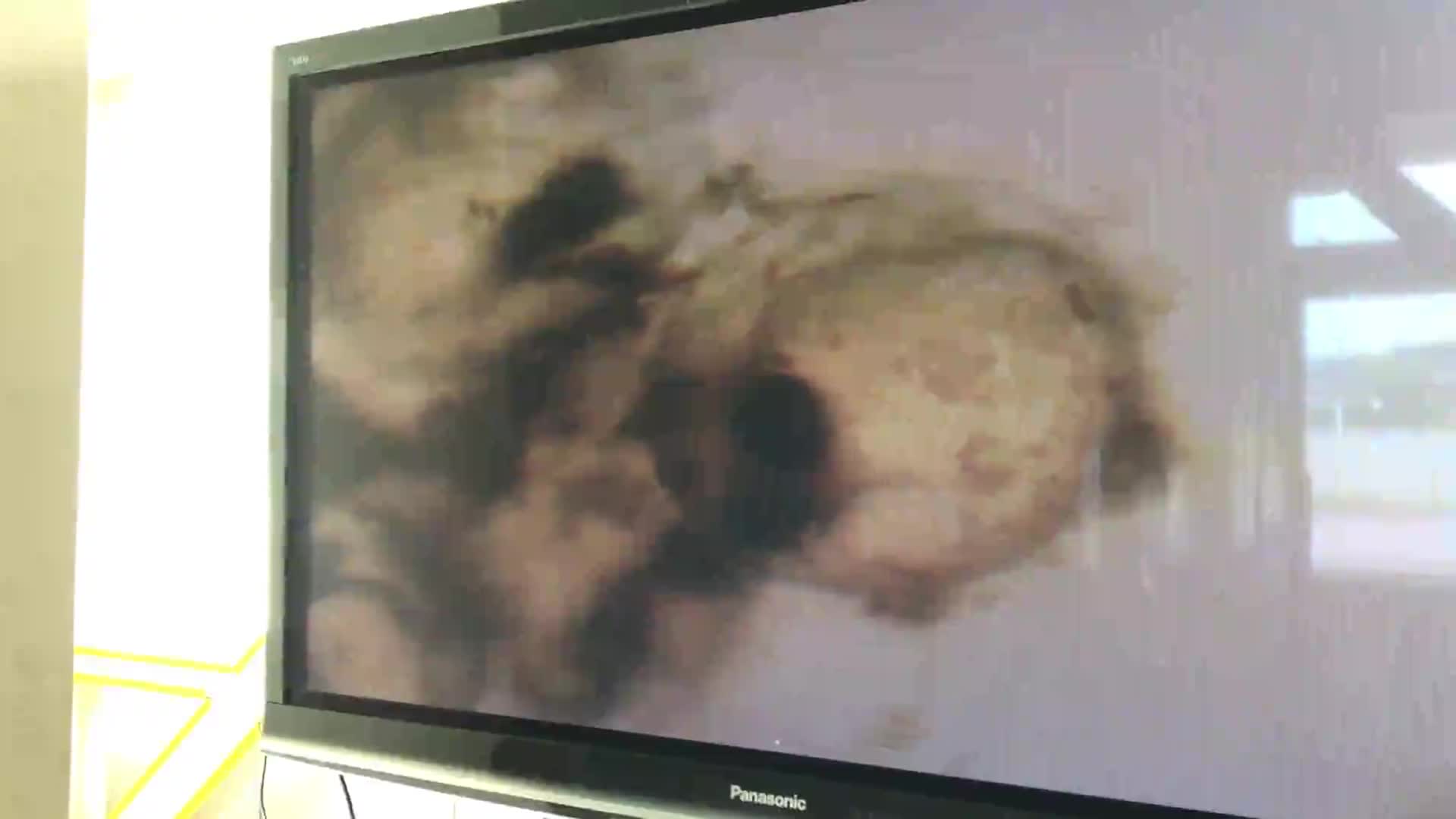 f5409801b45c7c013cff1d3eaec2d149