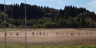 グランドを元気に走っています