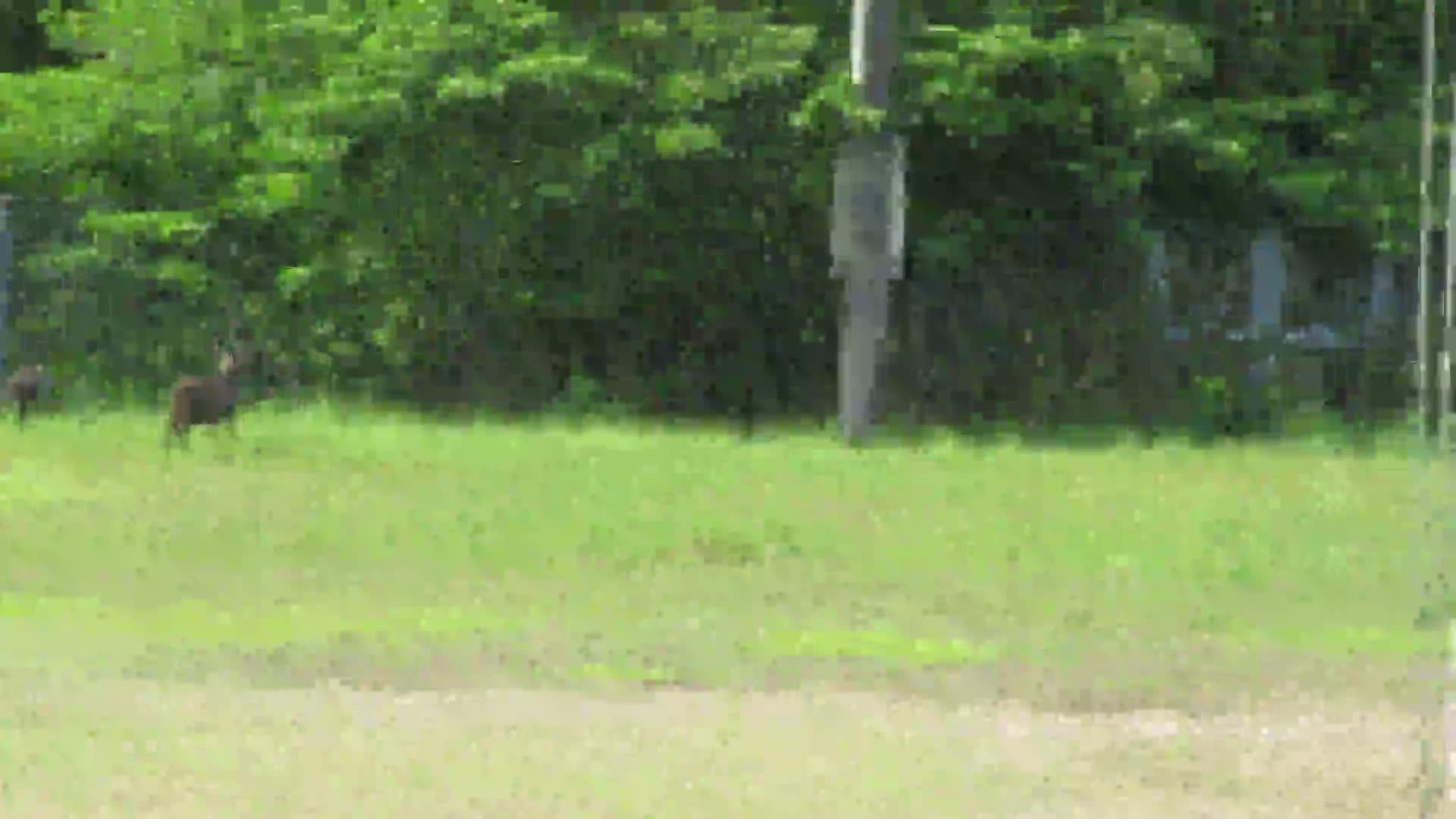 323a17278de5e8430e77037b7e5c3d53