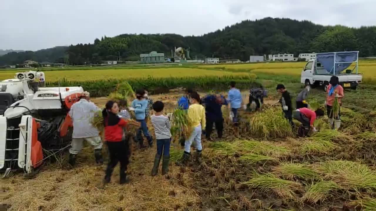 a3edf3fef89e7bf28ded0bdb15cc5568