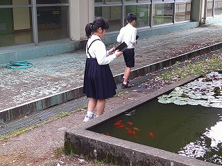 DSCF0006