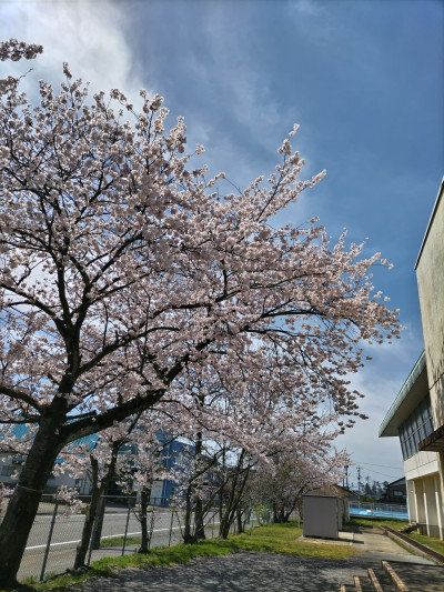DSC_0773[1]