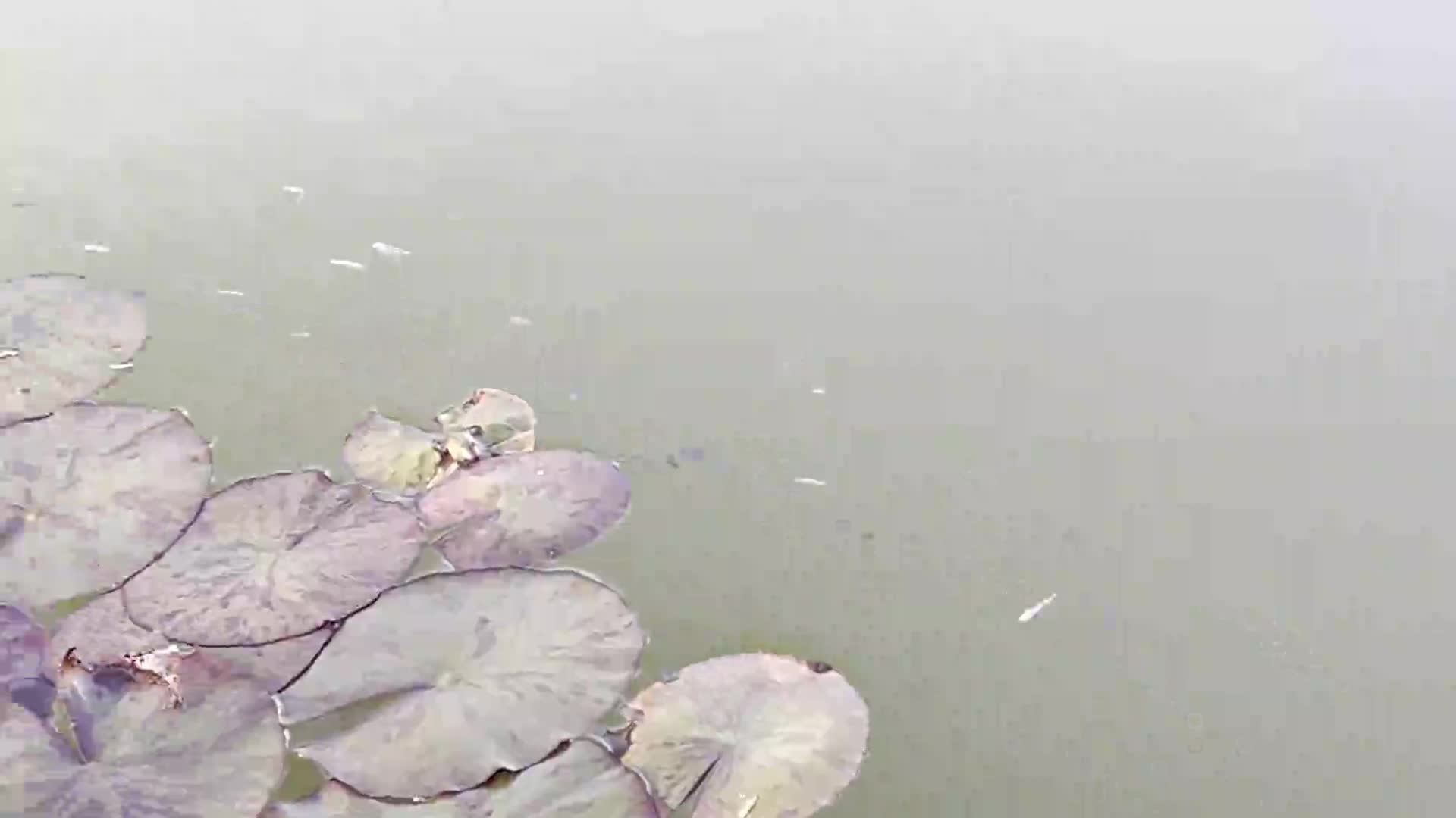 3bcf153c16feae9dcfc257b8593e22b3