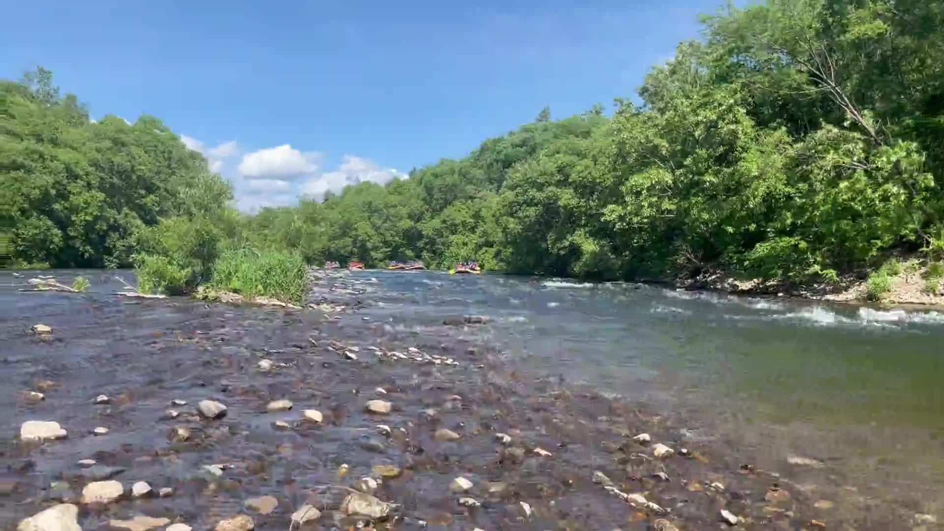 6d8ae4666579633b3a46260473de2c86