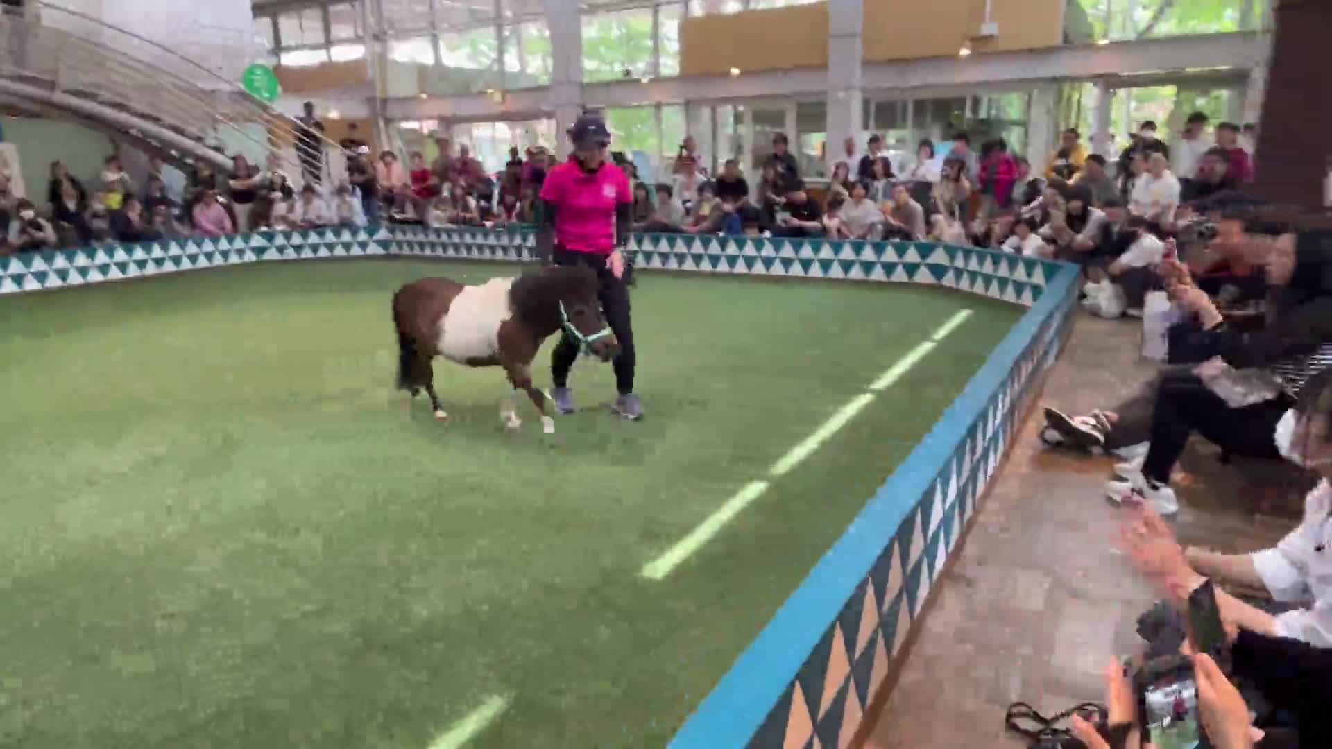 5a71174855011d0a998dee4f4790b3bc