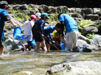 CIMG0041