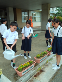人権の花④