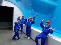 DSCN2868