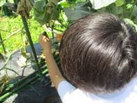 IMG_4186