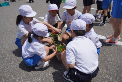 心に花を咲かせようＰ (2)