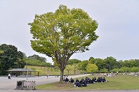 03