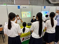 26071