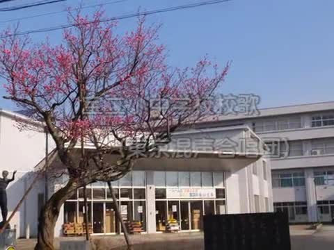 d8c7250b517e214c629f9163551e88d9