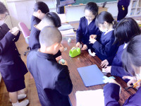 DSCF0214