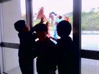 DSCF0348