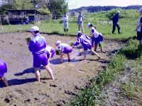 DSCF0408