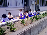 DSCF0542