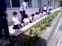 DSCF0543