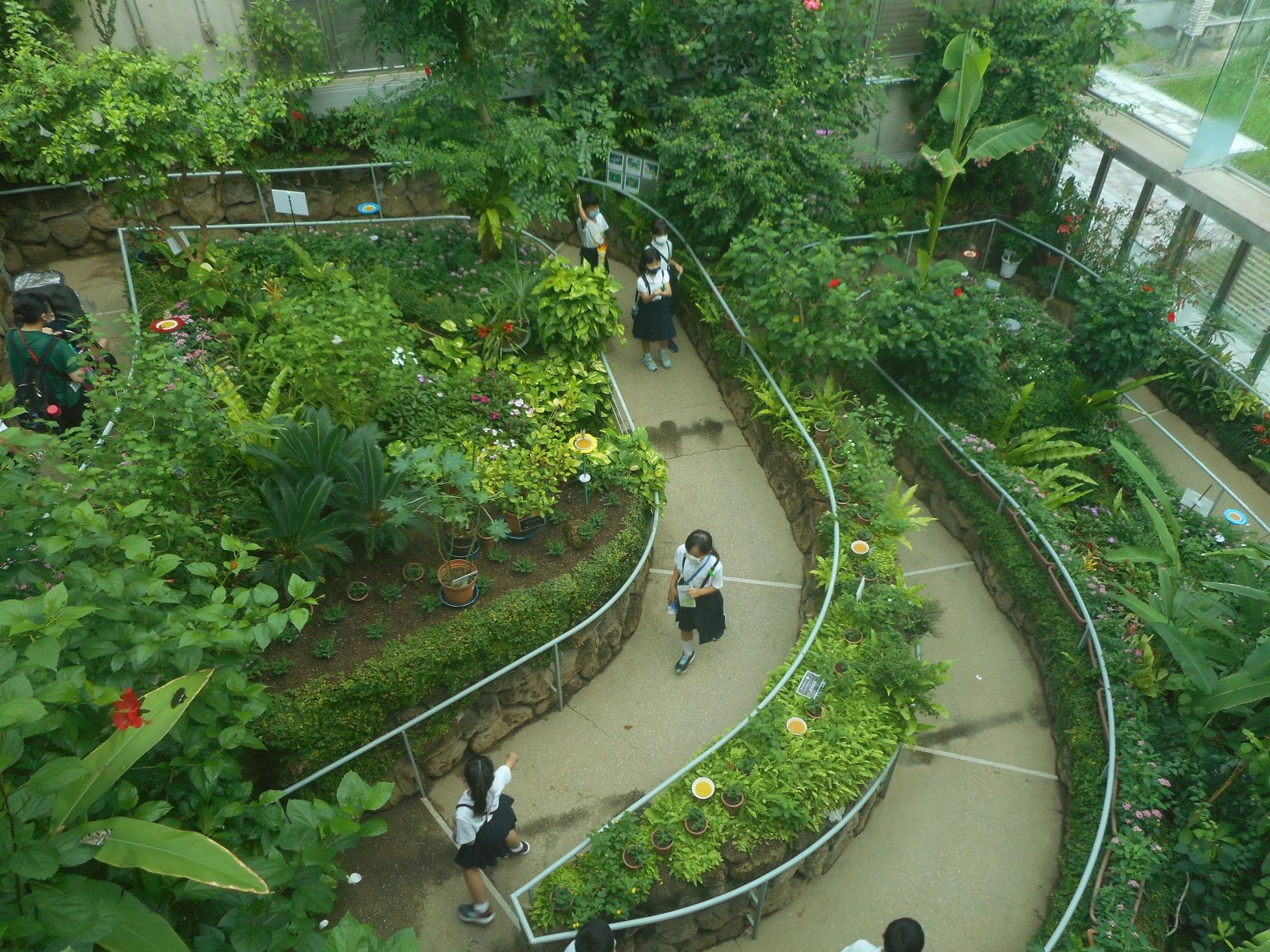 昆虫館　チョウの園