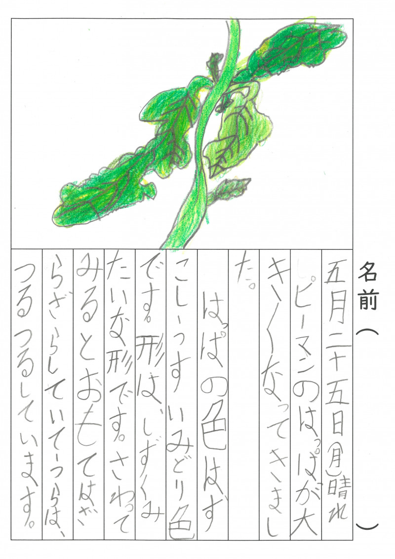 SKM_C450i26052818060