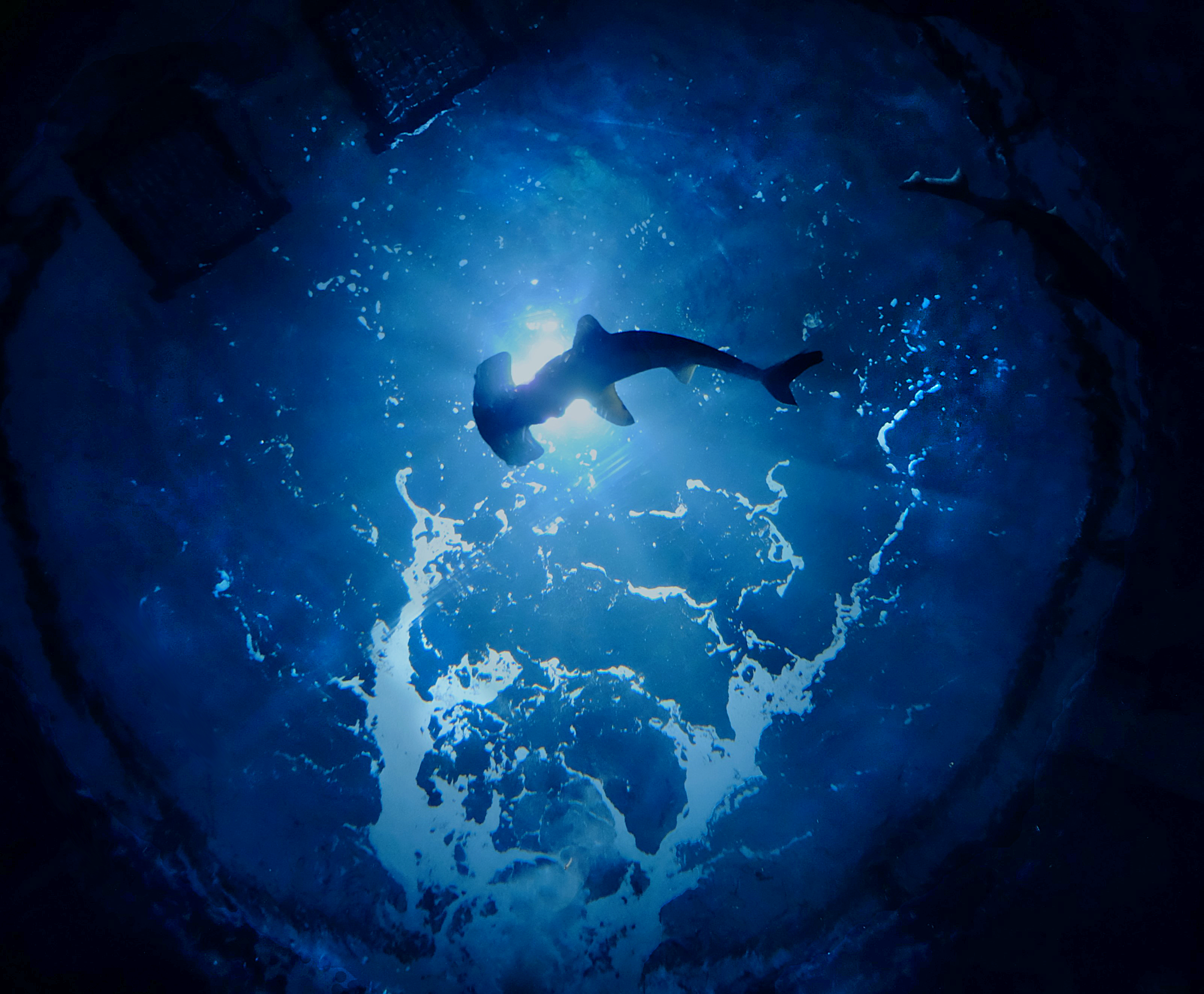 小林慶宣「宙を泳ぐ」