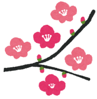 flower_ume