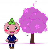 かがんこちゃん桜