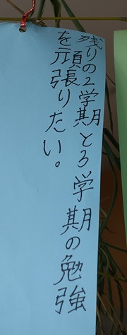 DSC02320