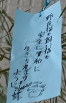 DSC02324