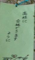 DSC02325