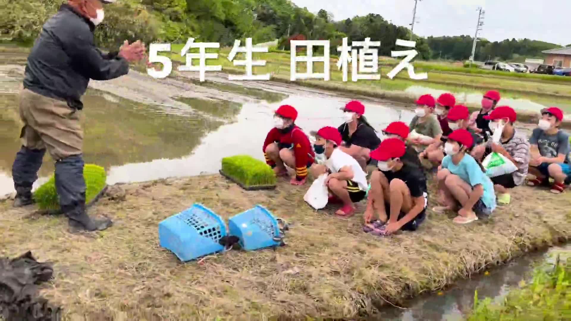 7505fcdfb34177fcabb022ba1abdf34c