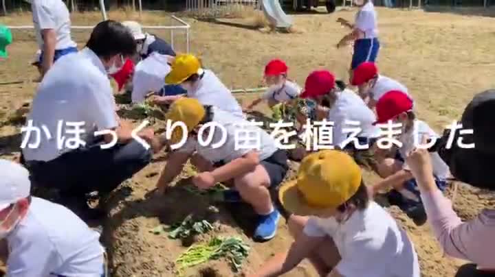 0f7c265b15d33836649da4a3f46683f6