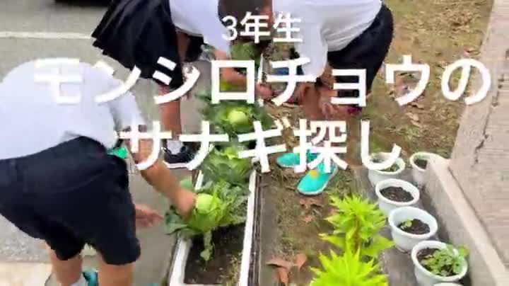 144465c1b1e2ac8fed1614d629d12724