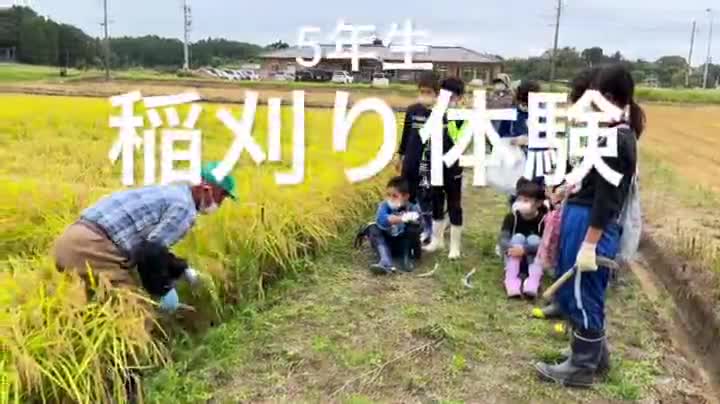 89c706d1829ad774160f66d4516f315b