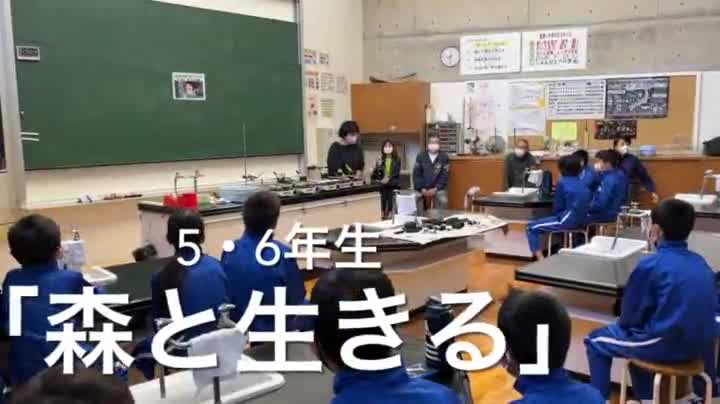 a687c8f6f3cc14f25006d7c63a7badf1