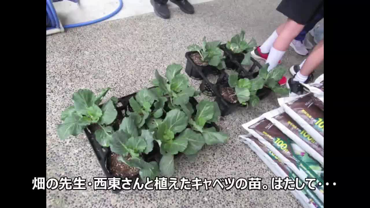 5021deea56260ec7995e06cce9d44e18